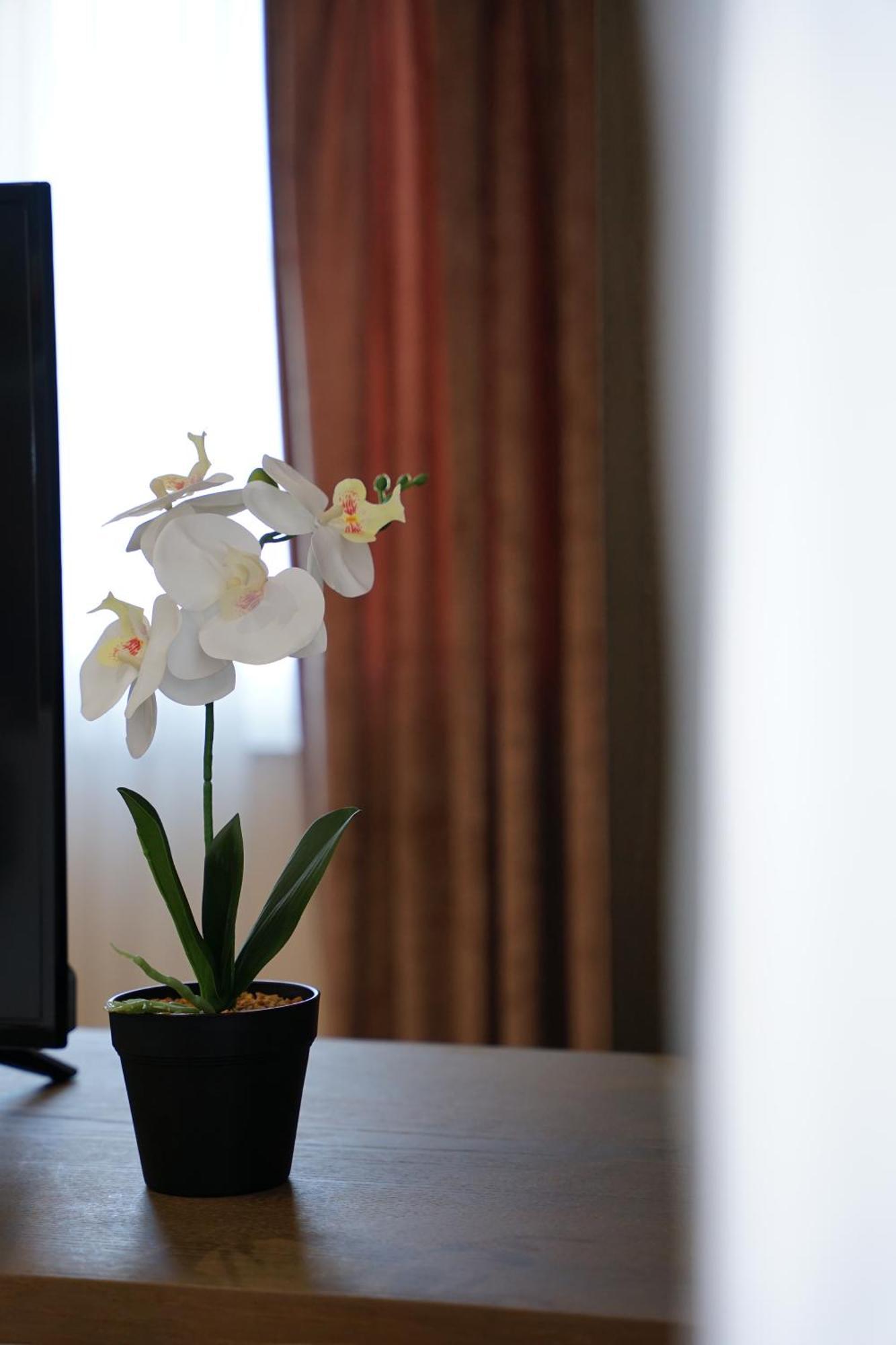 Doanesia Premium Hotel & Spa Tiranë Luaran gambar